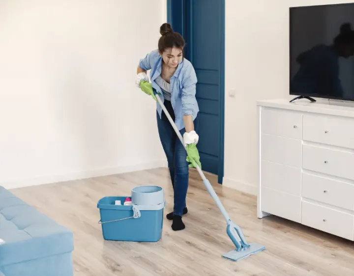 Femme de ménage Onnaing